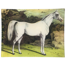 White Horse A. - FINAL SALE