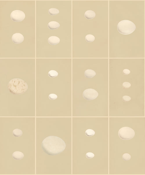Eggs - Original