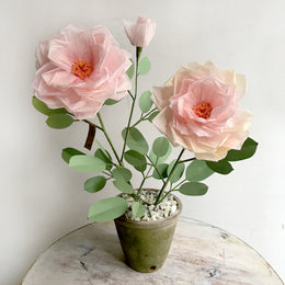 The Green Vase Potted Garden Rose