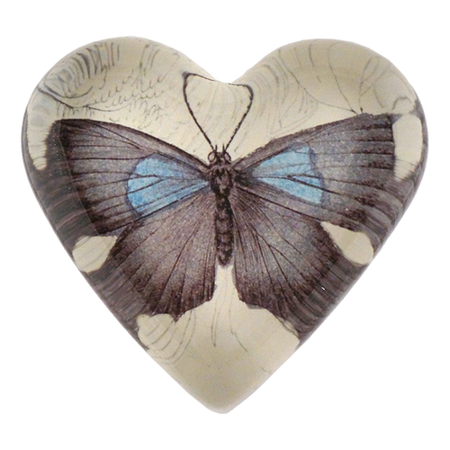 Blue Grey Butterfly