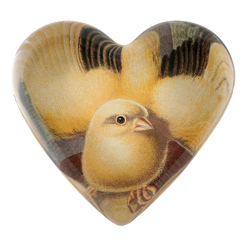 Spencers Mule (Canary) - FINAL SALE
