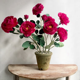 The Green Vase Potted Floribunda Rose