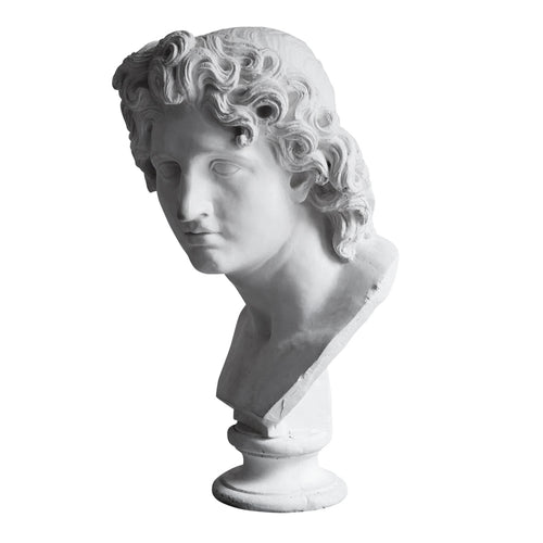 Louis XV Bust Sculpture