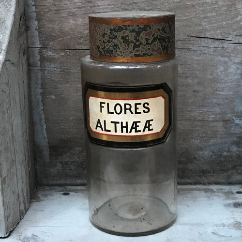19th Century Apothecary Jar -Flores Althææ