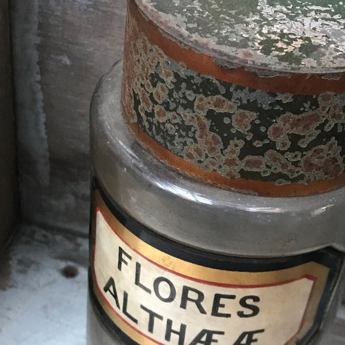 19th Century Apothecary Jar -Flores Althææ