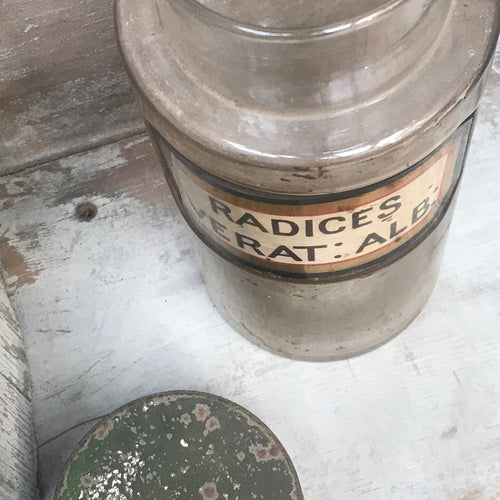 19th Century Apothecary Jar - Radices Verat: Alb: