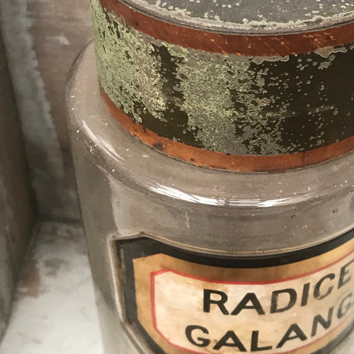 19th Century Apothecary Jar - Radices Glangæ