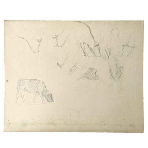 Evert Rabbers Cow Drawing 23