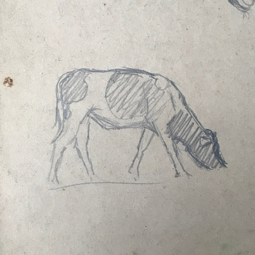Evert Rabbers Cow Drawing 23