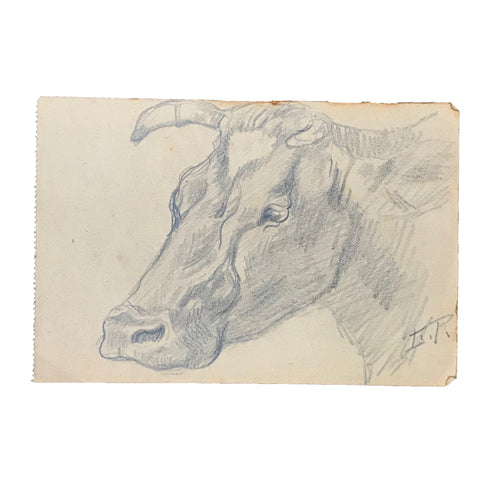 Evert Rabbers Cow Drawing 34