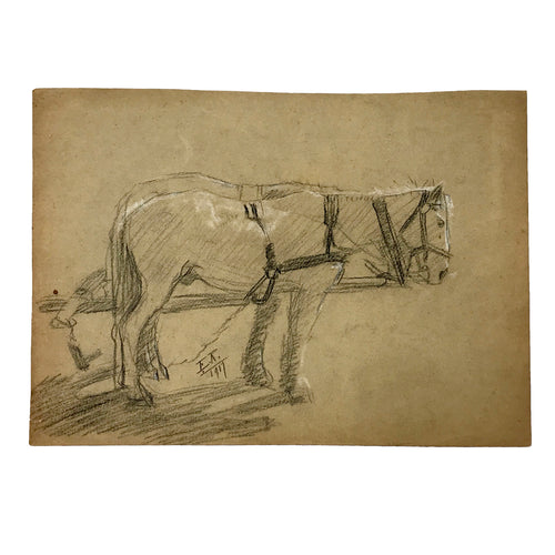 Evert Rabbers Horse Drawing 52