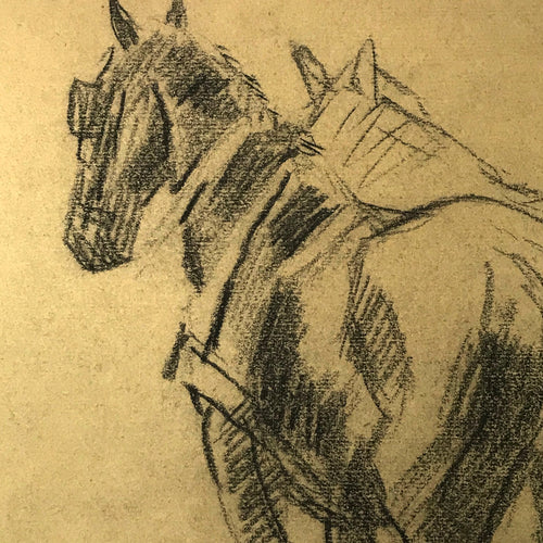 Evert Rabbers Horse Drawing 57