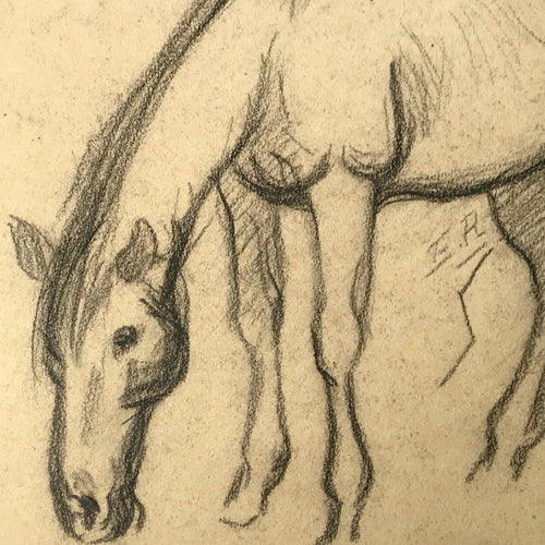 Evert Rabbers Horse Drawing 60