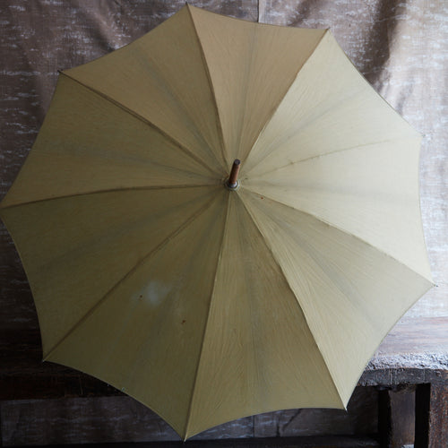 Early 20th Century Parasol Umbrella 1