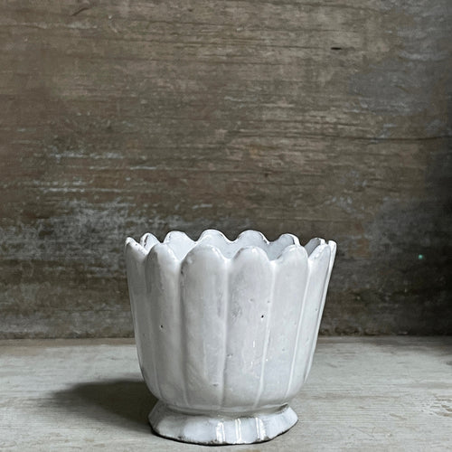 Marguerite Egg Cup
