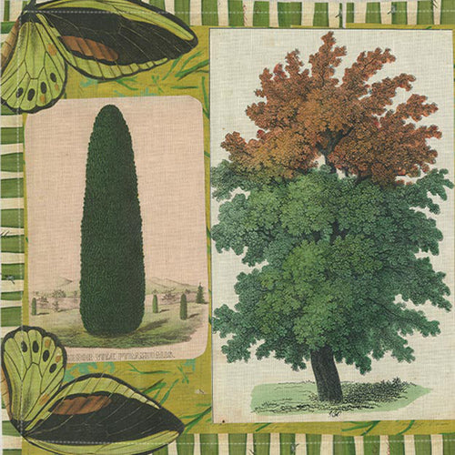 Trees with Green Butterflies Linen Placemat Set of 2