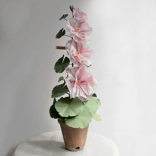 The Green Vase Potted Pink Hollyhock