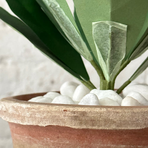 paper plant in a pot on table