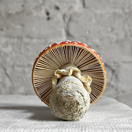 Papier-Mâché Mushroom