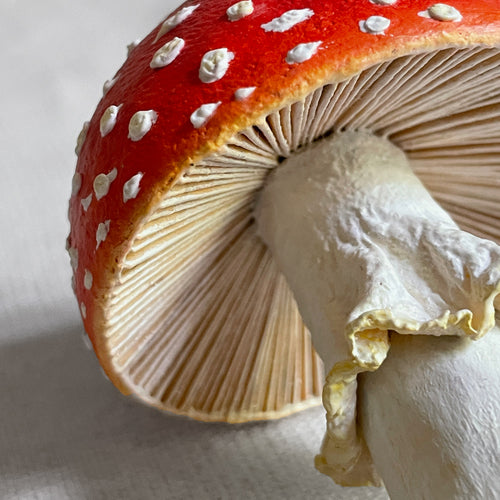 Papier-Mâché Mushroom
