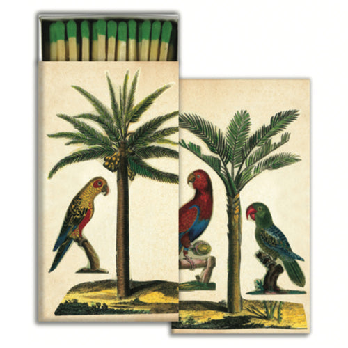 Palm & Parrots