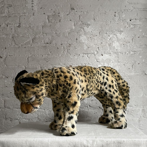 Animated Baby Cheetah