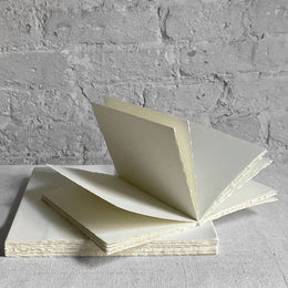 John Derian Paper Goods: Everything Roses Notebooks: Derian, John:  9781648291241: : Books