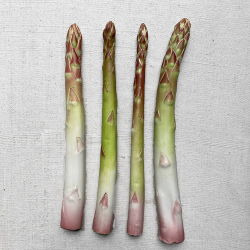 Single Porcelain Asparagus