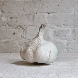 Porcelain White Garlic Bulb