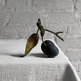 Porcelain Double Damson with One Leaf
