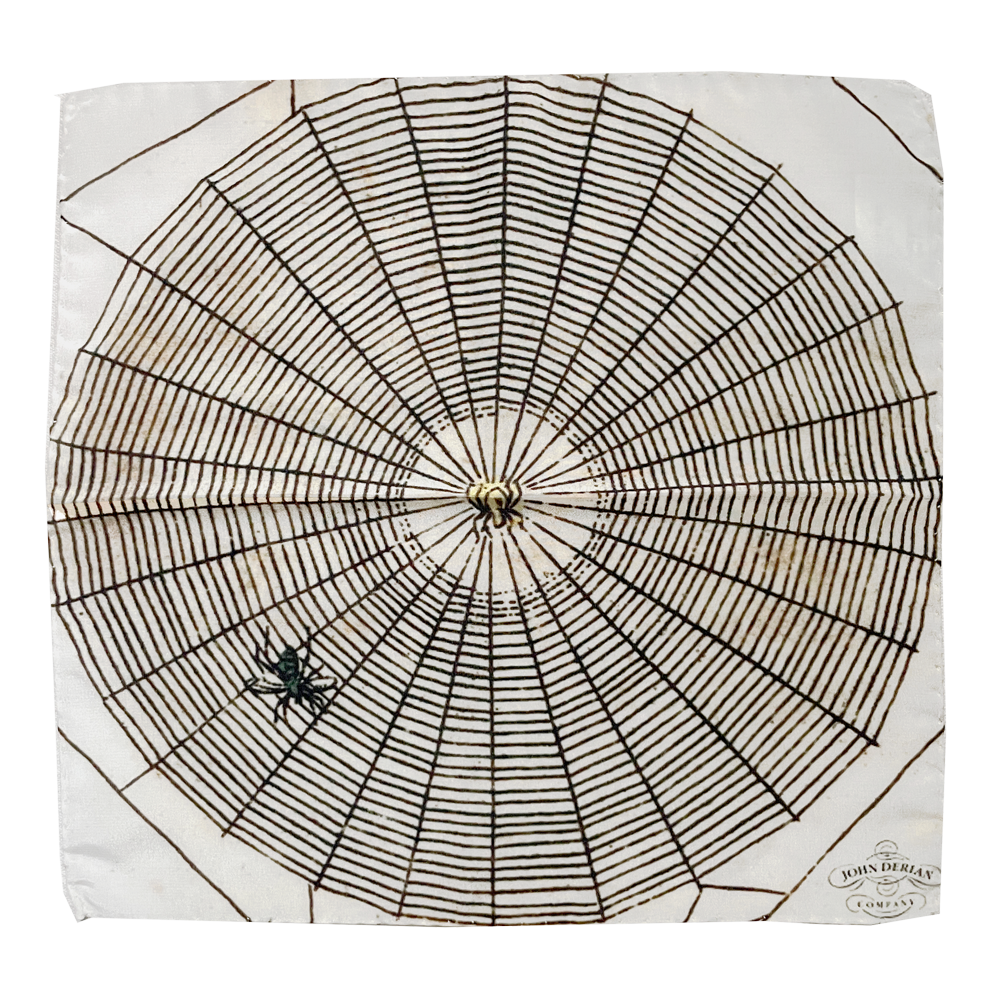 Spider Web Silk Scarf