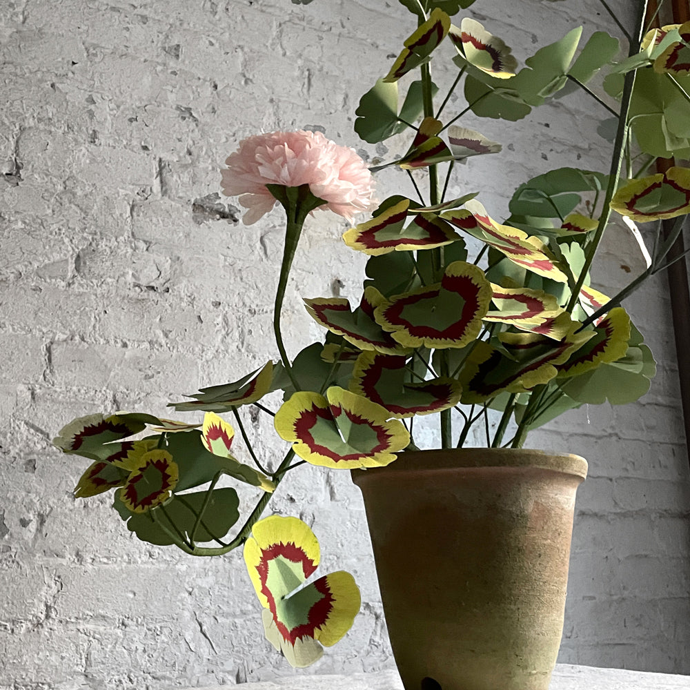 The Green Vase Potted Large Geranium — John Derian Company Inc