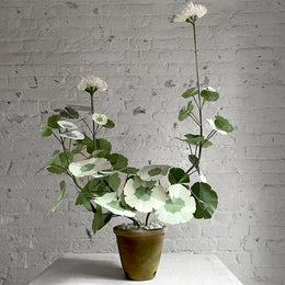 The Green Vase Potted Geranium Vase