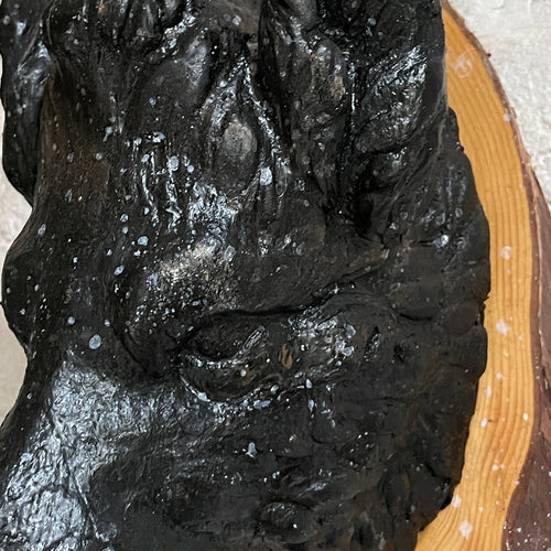 Antique Black Forest Carved Black Boar Head (23B03)