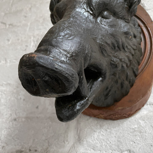 Antique Black Forest Carved Black Boar Head (23B04)