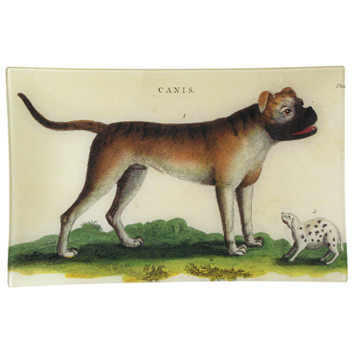 A rectangle handmade decoupage sale item titled English Bulldog (Canis)