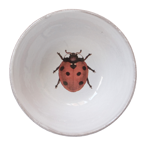Ladybug Bowl