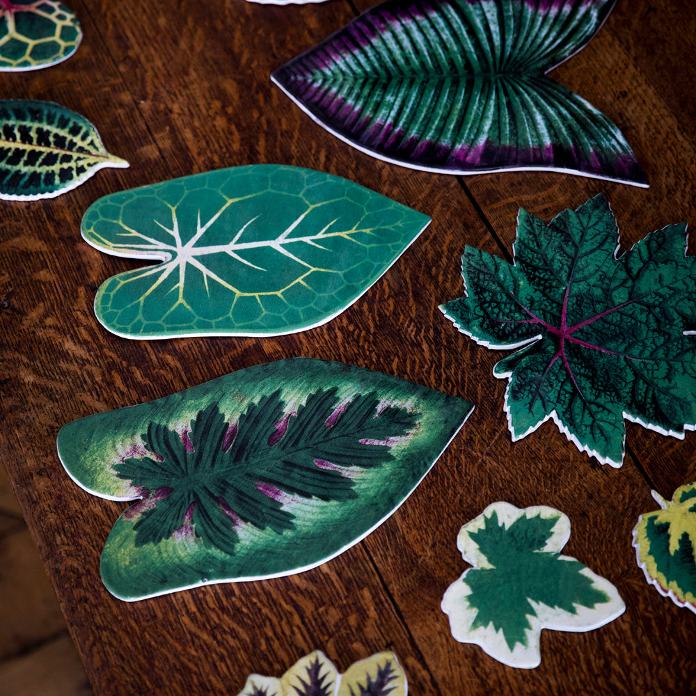 Leaf Platter 48