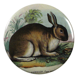 Rabbit available as Pocket Mirror, Magnet, Button Pin or Bottle Opener