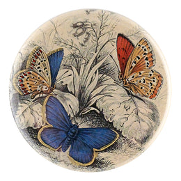 Copper & Common Butterflies