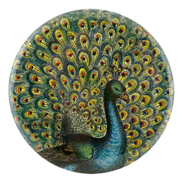 Coy Peacock
