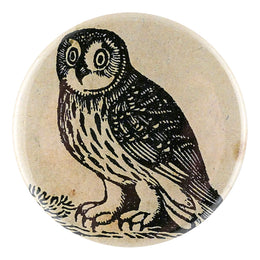 Iconic Owl