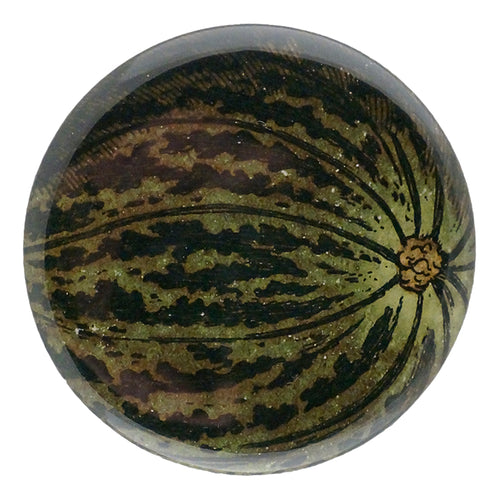 Pear Melon