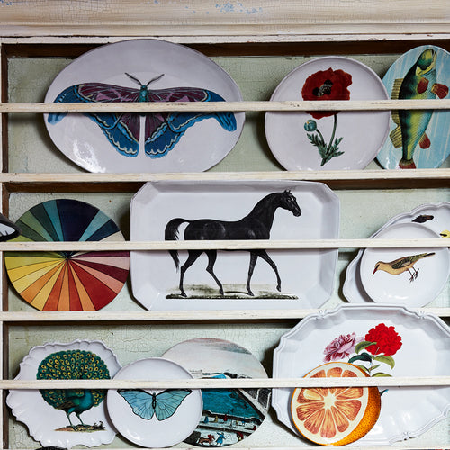 Blue Butterfly Plate