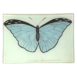 MT-BButterfly_260x.png?v= MT-BButterfly_260x.png?v=