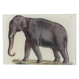 Elephant 76