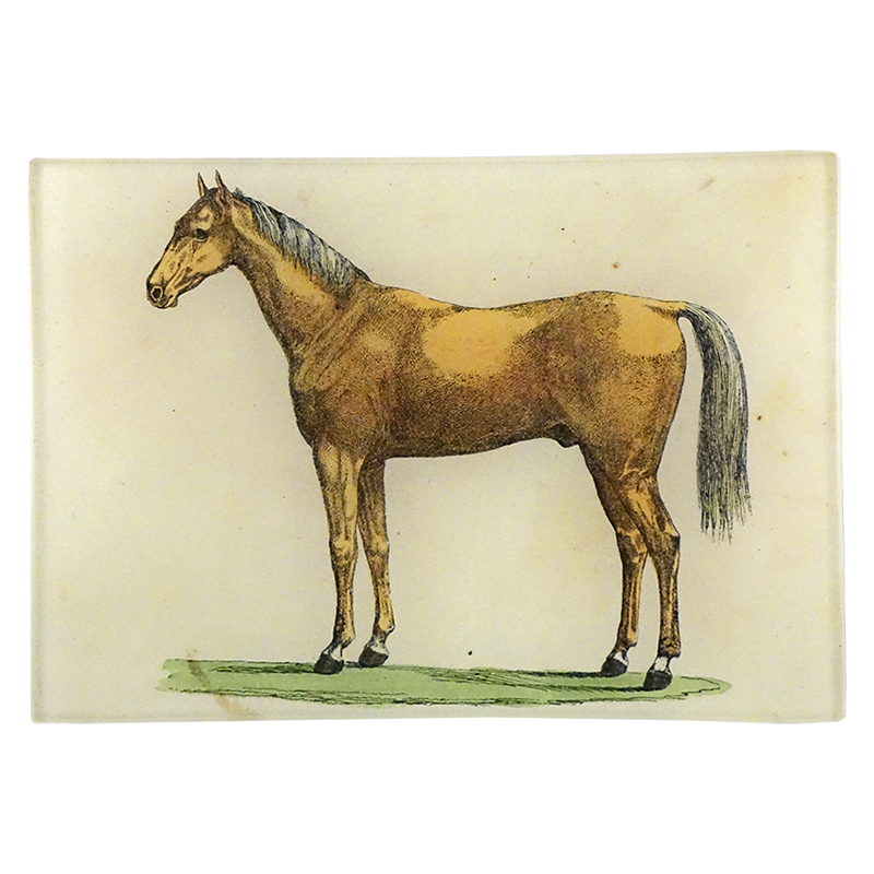 An illustration of a brown horse faces the left on a four and a half inch by six and a half inch glass tray. 
