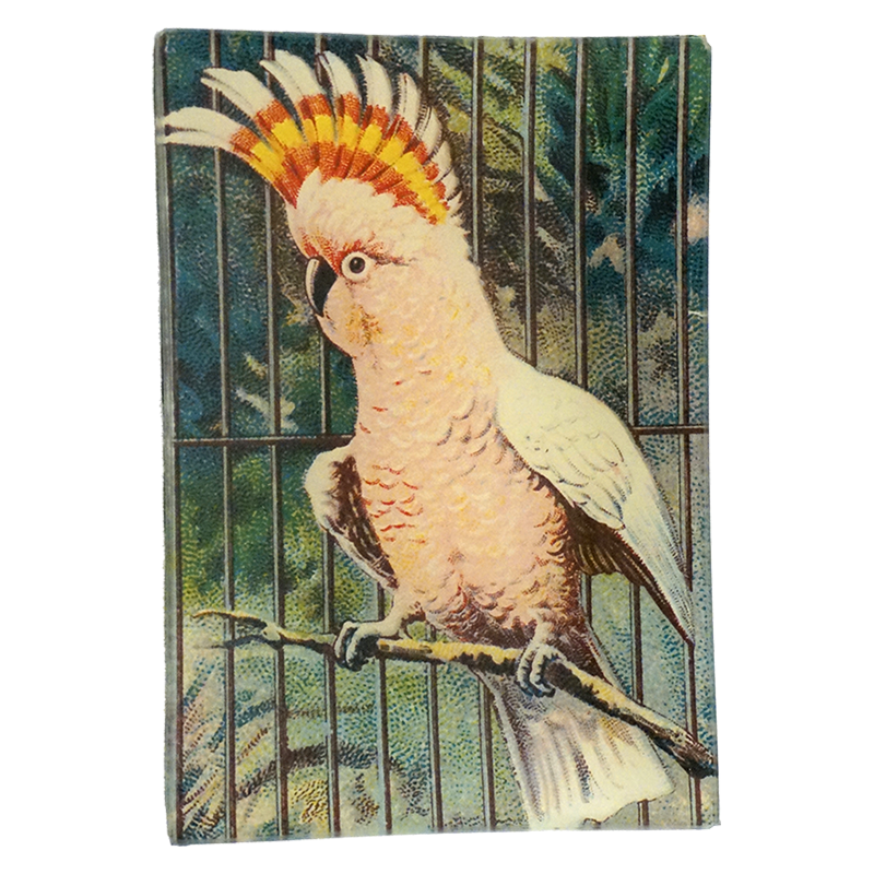 An illustration of a pink parrot with a red and yellow crest on a four and a half inch by six and a half inch glass tray. 