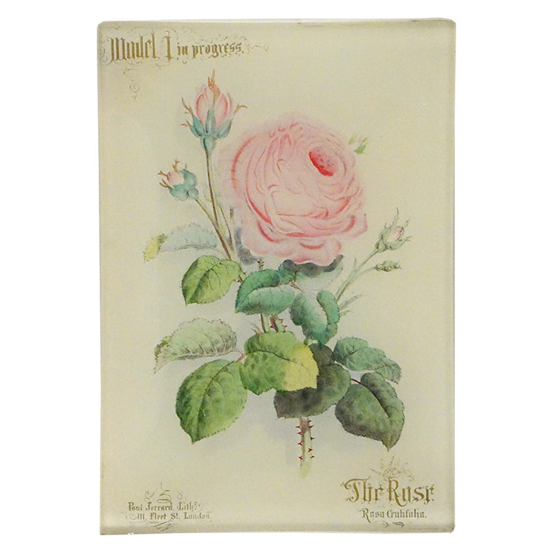 An illustration of a pink rose with green leaves on a beige background with the text 'The Rose' and 'Model 1 in progress' on a four and a half inch by a six and a half inch glass tray. 