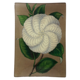 White Camellia - FINAL SALE